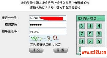 中国农业银行网上查余额