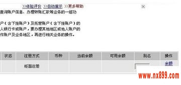 中国工商银行个人网上银行余额查询_图3